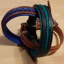 colliers chiens