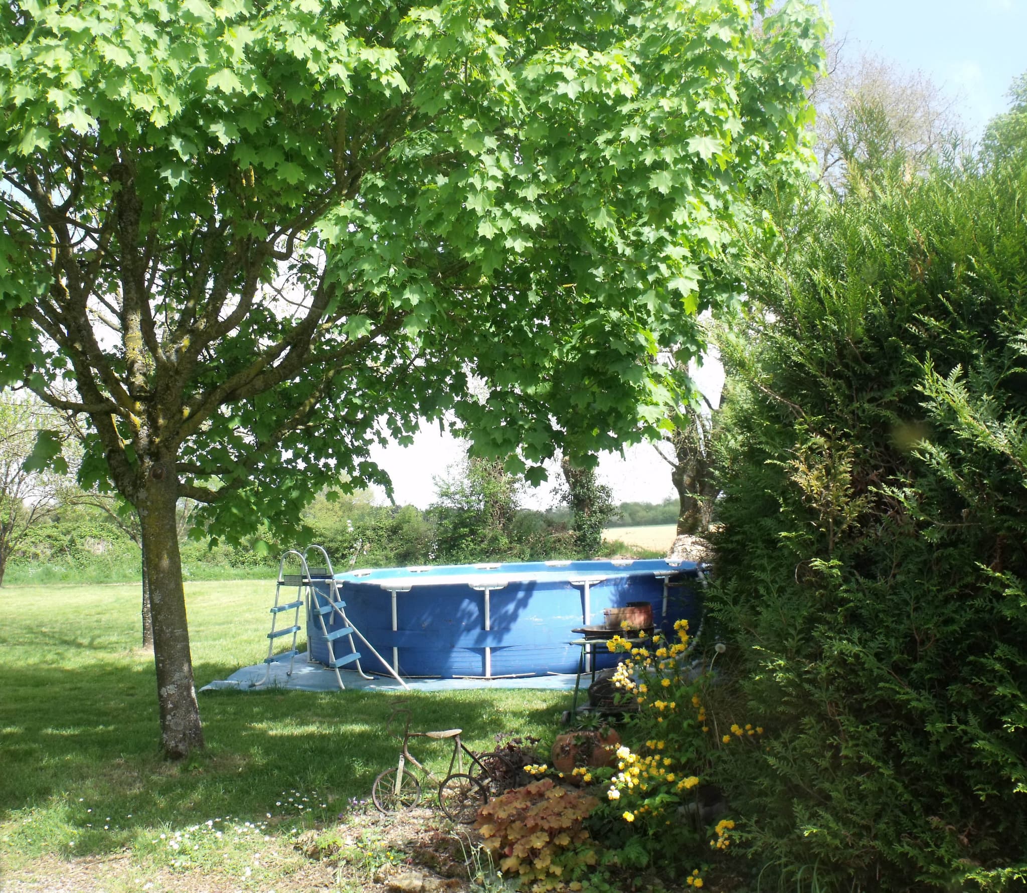 2010.JPG_9