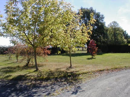 2011.jpg_10