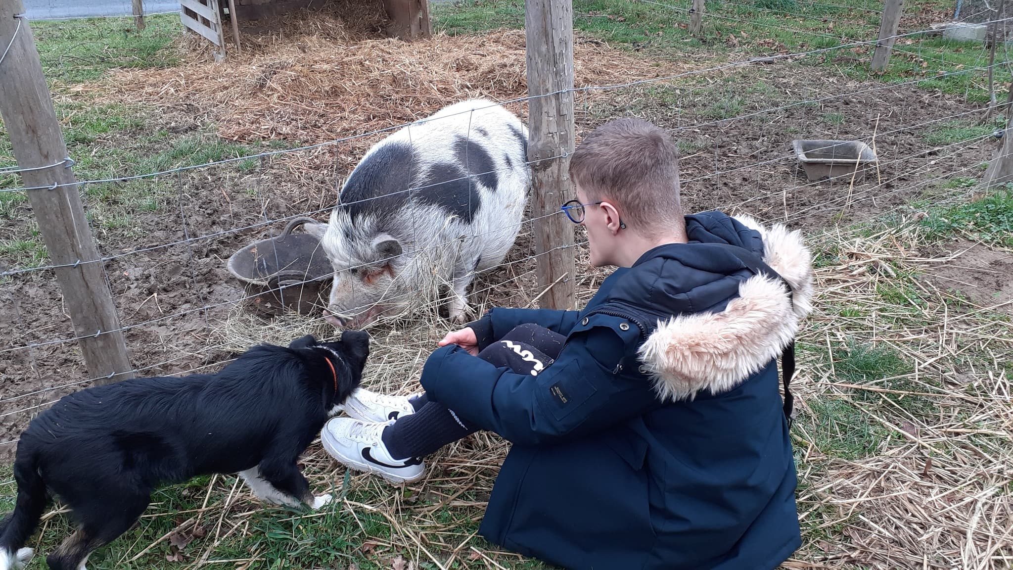Animaux de la ferme