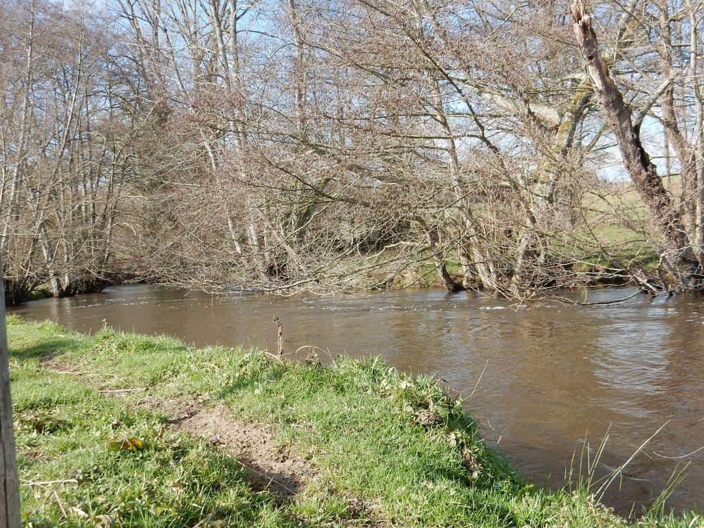 Les Pieds dans l'Eau