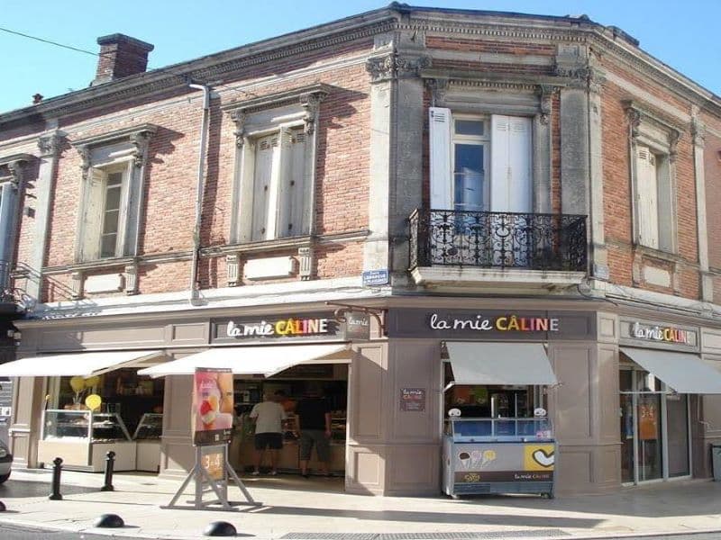 Mie câline