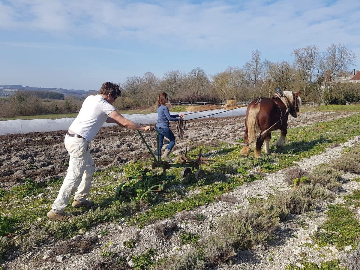 Les Trésors de Galien