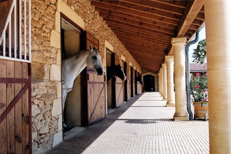 Etrier de Vitrac