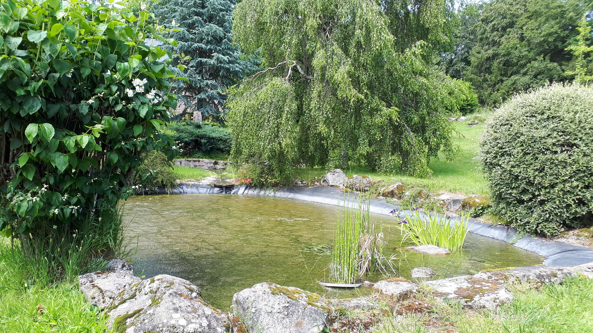 Un des deux petits bassins dans le parc arboré