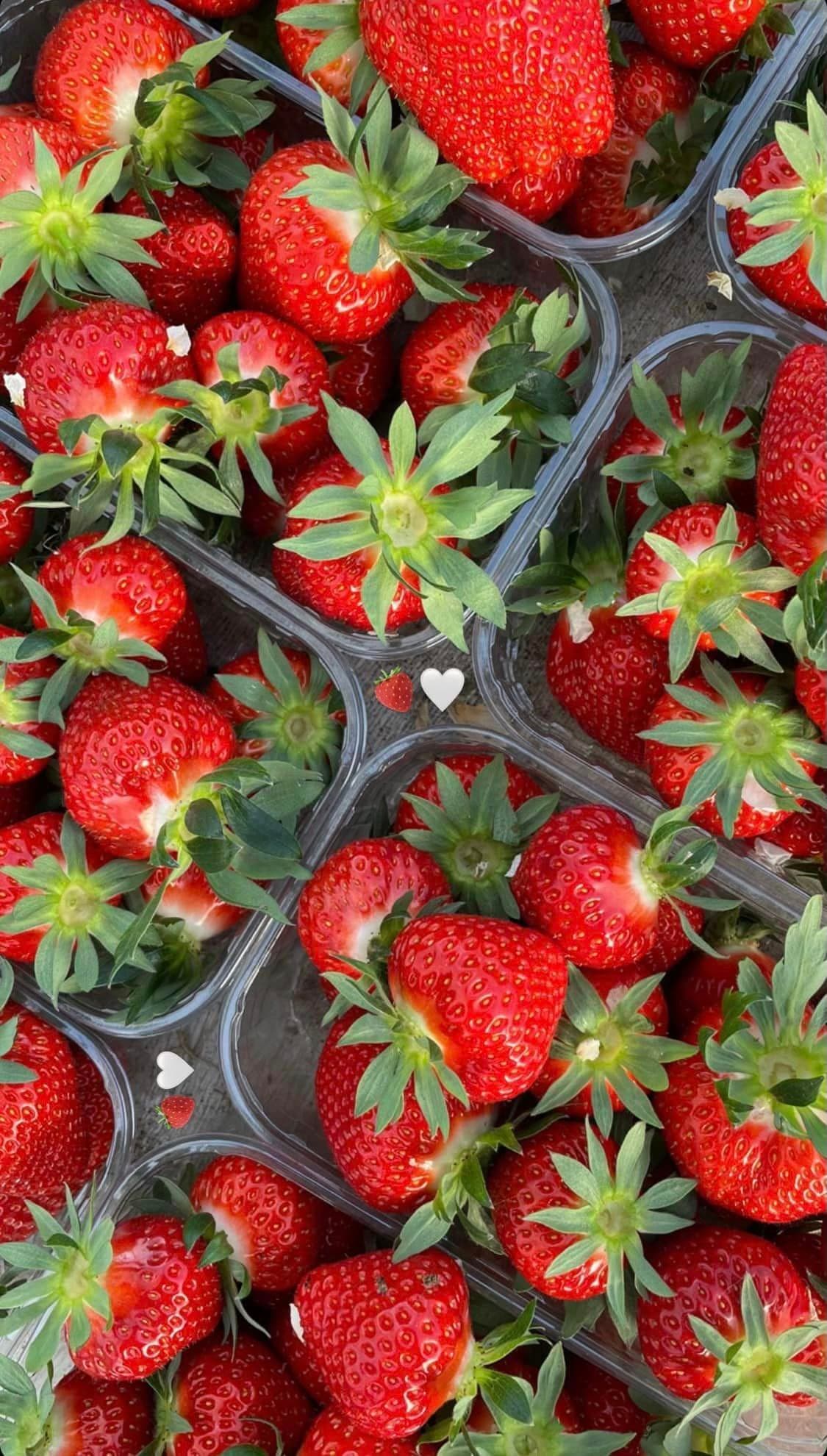 Fraises