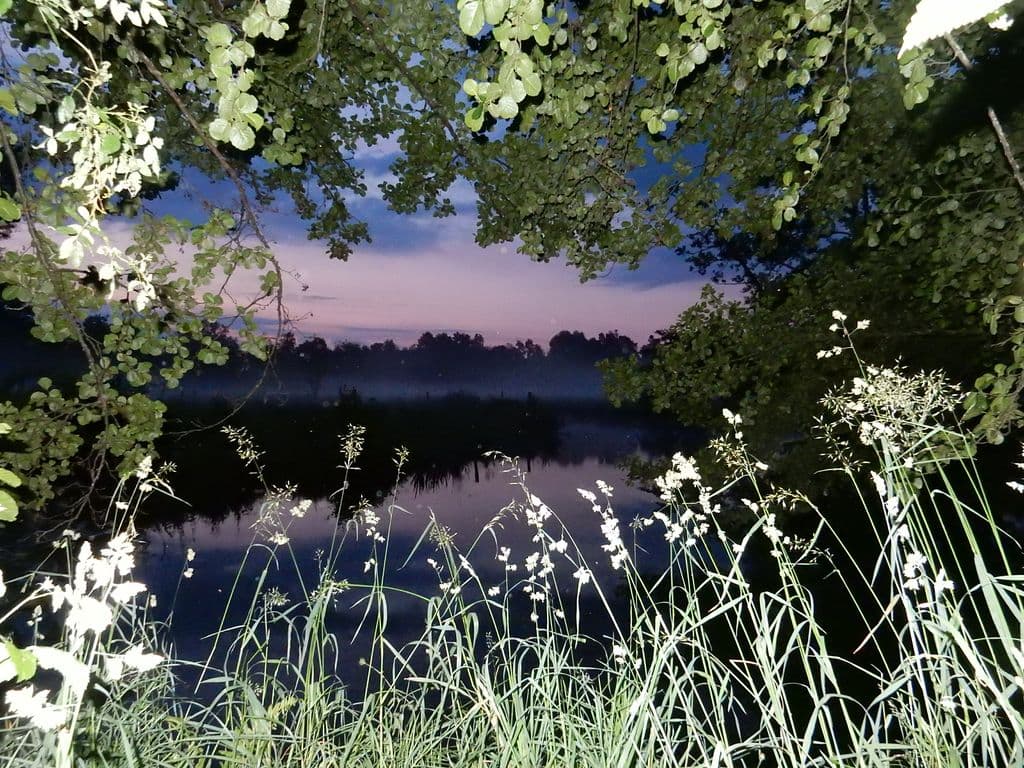 Les Pieds dans l'Eau