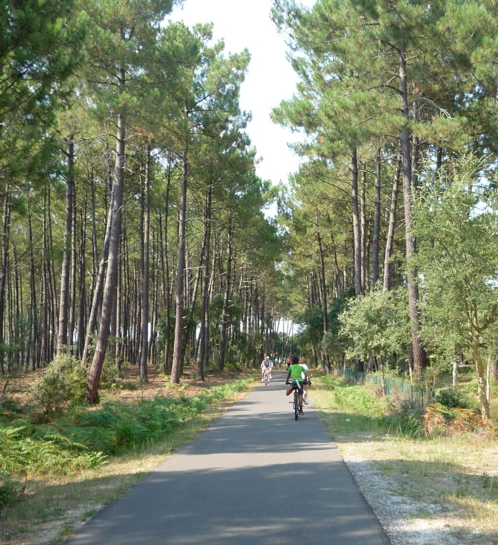 Villa Eden_Moliets_Landes Atlantique Sud