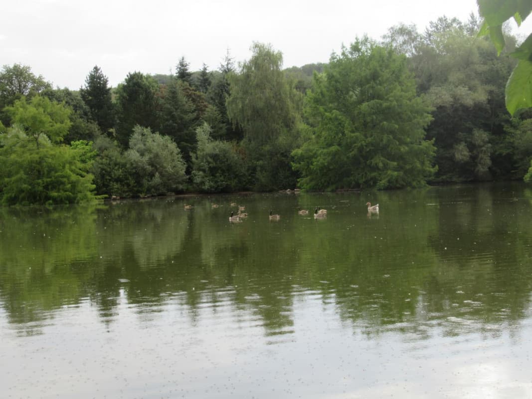 AU VIEUX CHÊNE AU CALME, AVEC ÉTANG DE PÊCHE