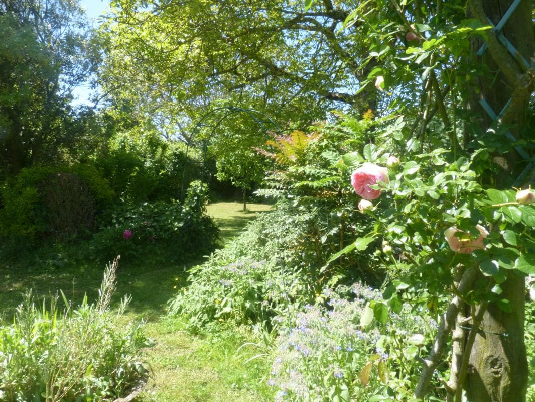 Le jardin