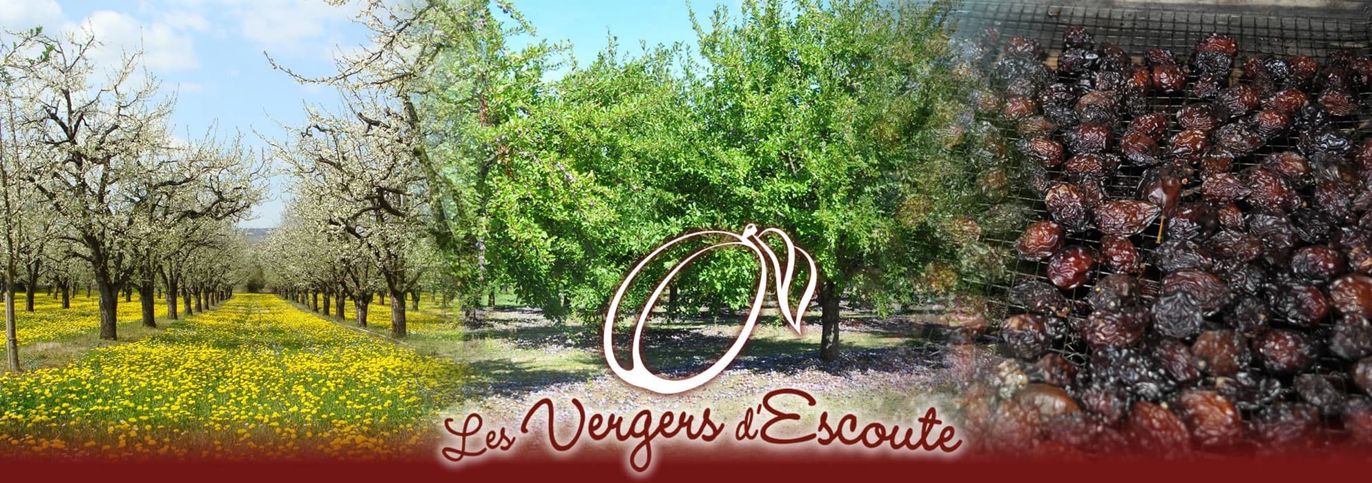 Les vergers d'escoute