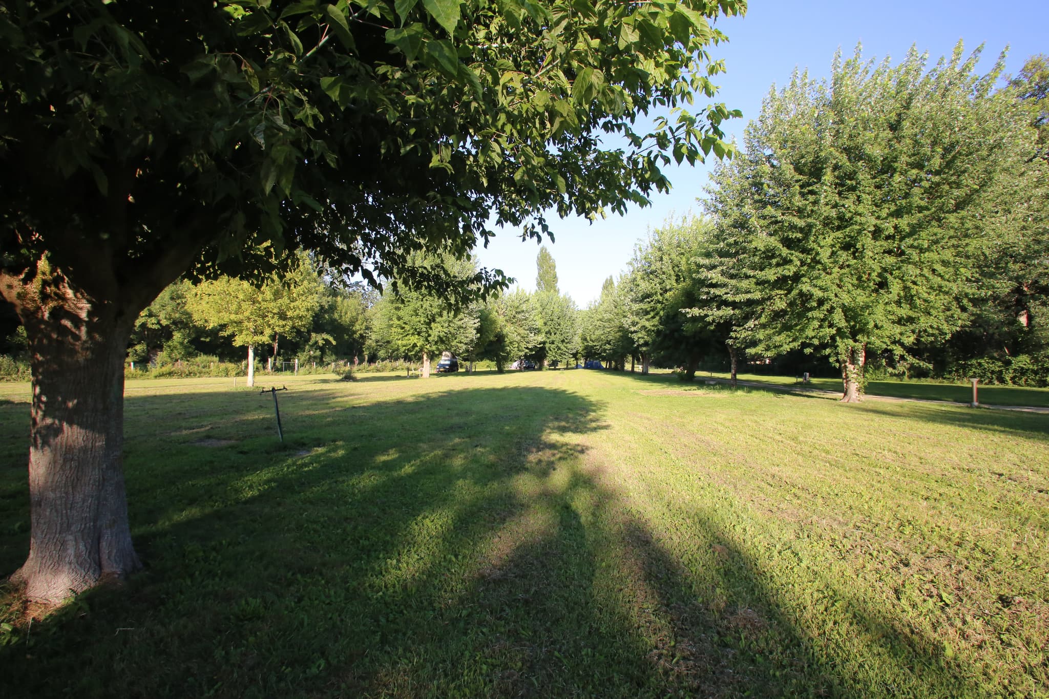 Les emplacements du camping