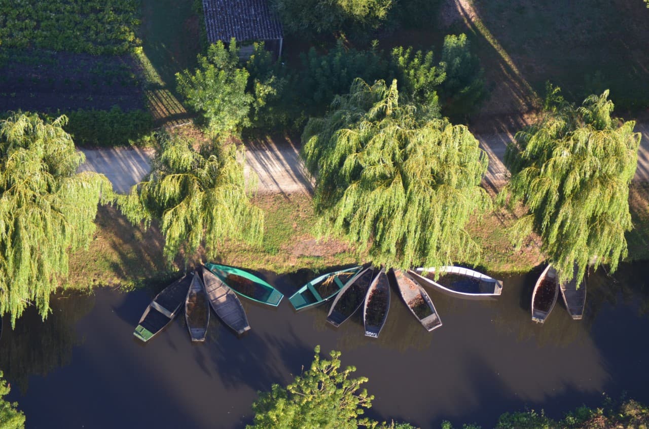 Barques amarrées
