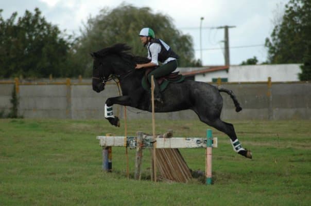 Saut d'obstacles