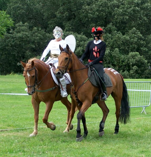 Saut d'obstacles