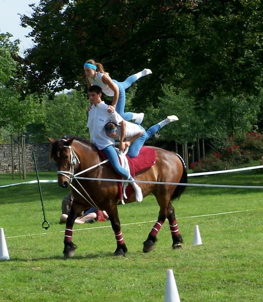 Saut d'obstacles