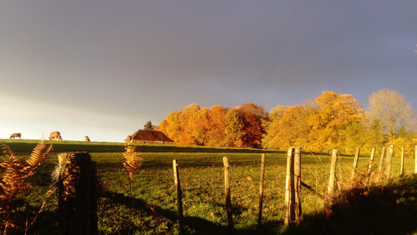 paysage