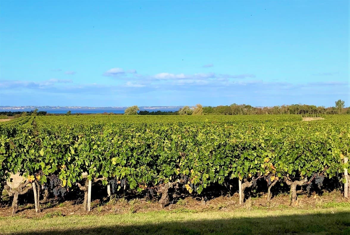 ChâteauBellerive