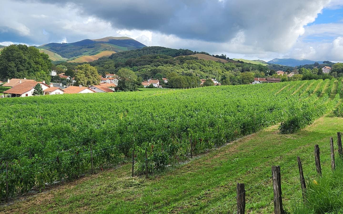 Atelier Découverte du piment Cambo-les-Bains Pays basque