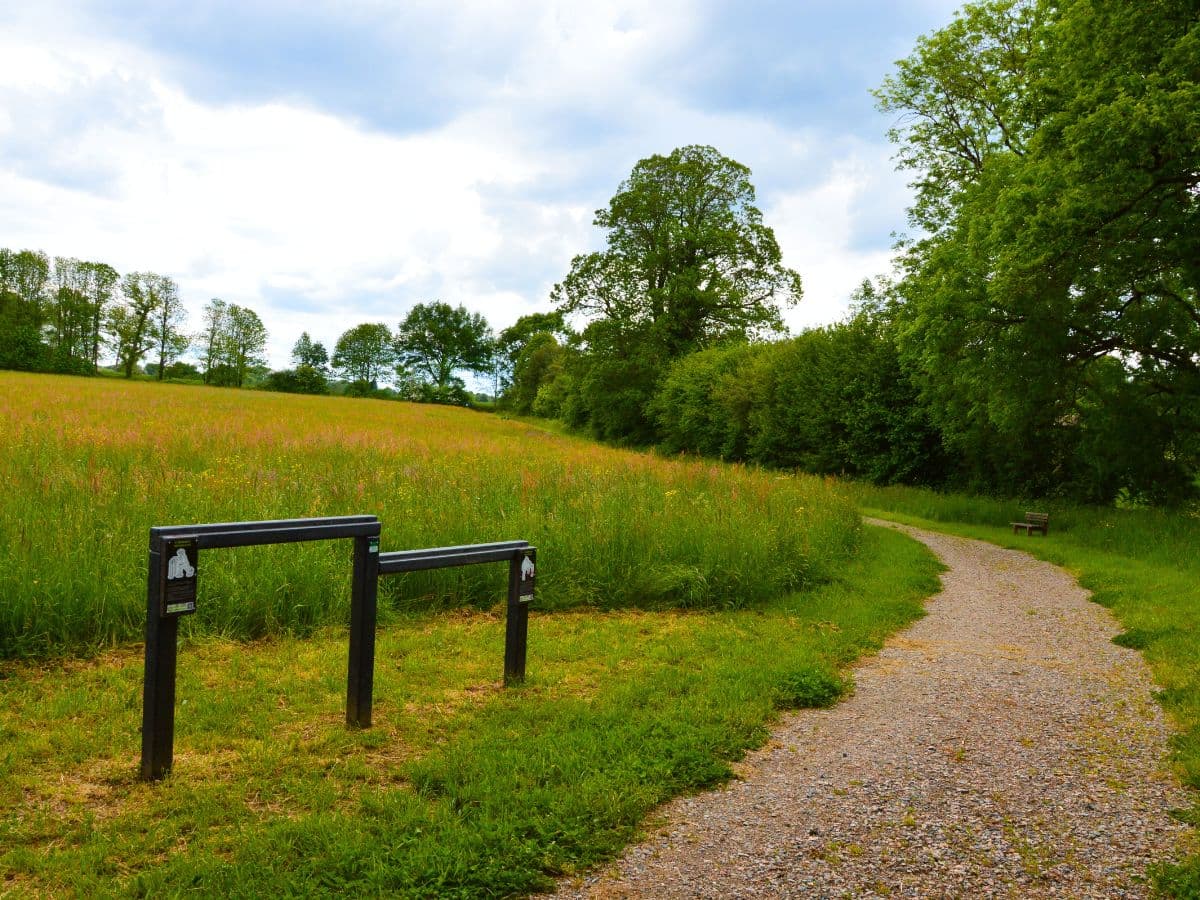 Parcours de santé - Châlus