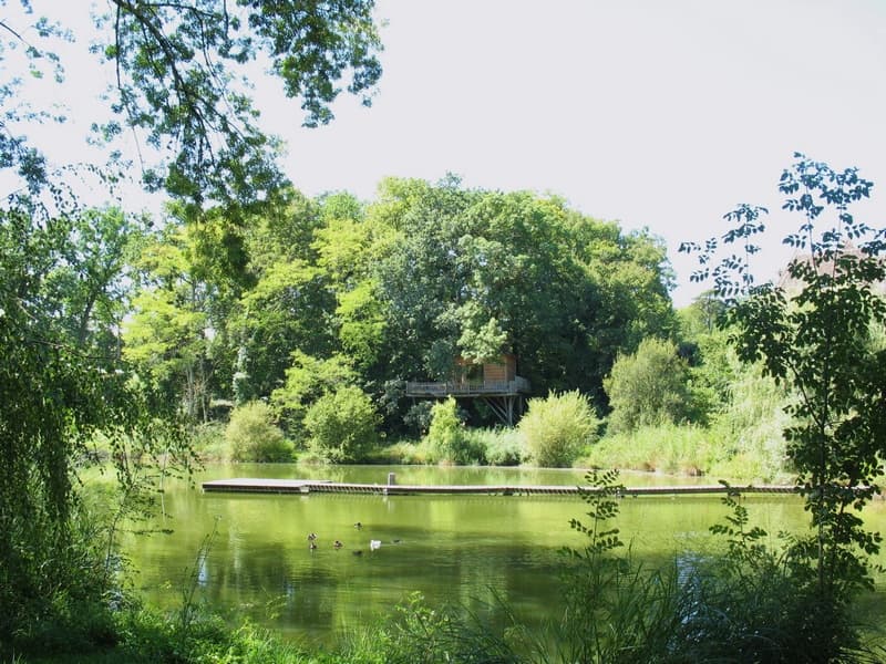 4-Gauth-GitTreehs-FromLake2
