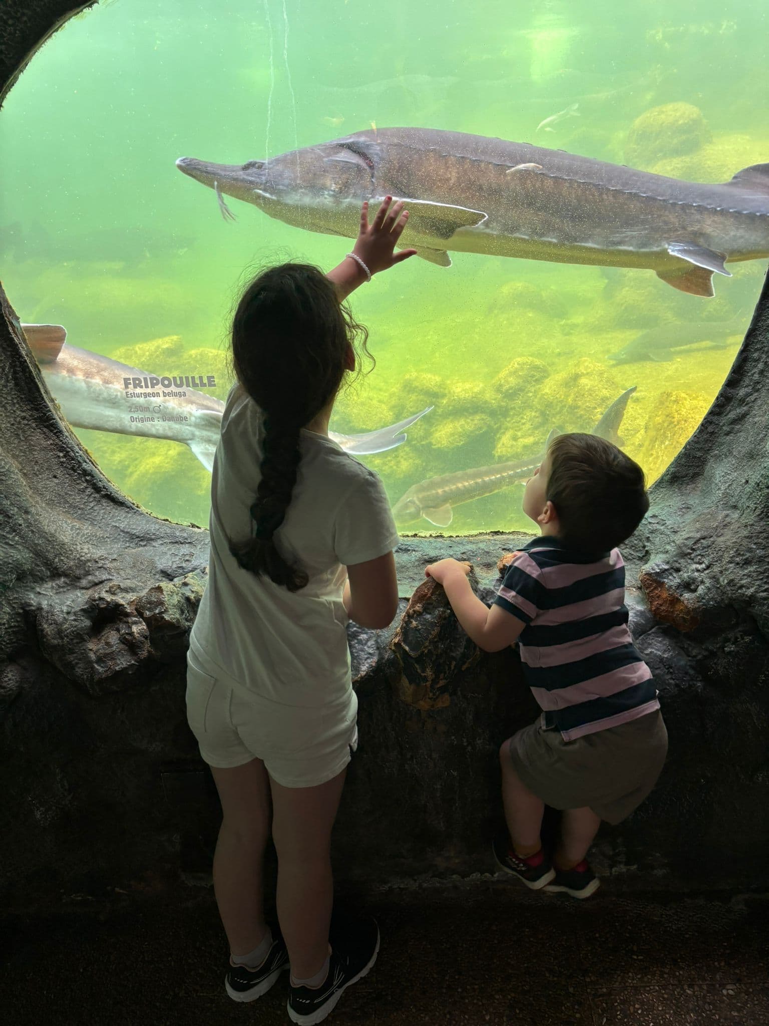 4. Plus grand Aquarium d'Europe
