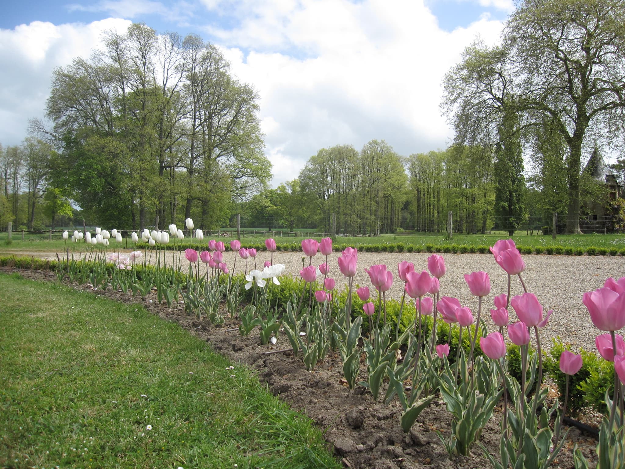 Vue du Parc