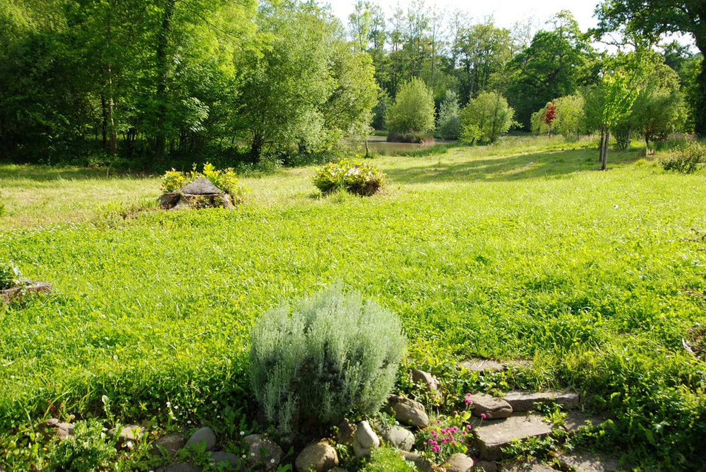 Chambre d'hôtes du moulin