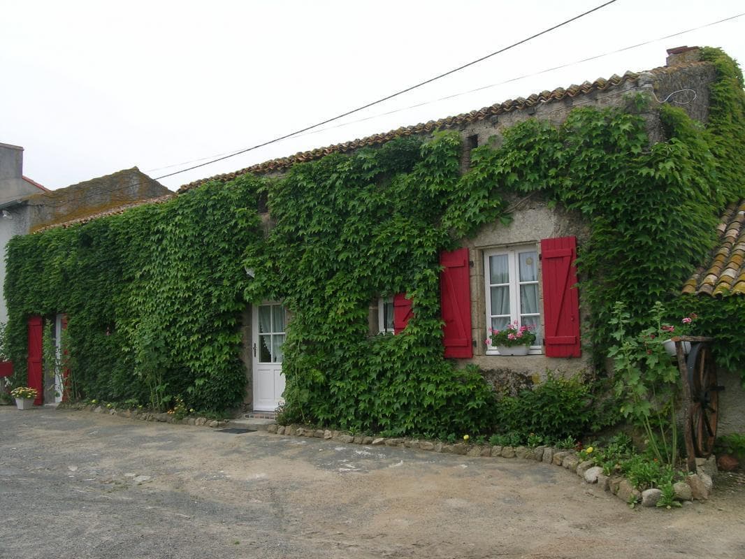 Sans titre_1
