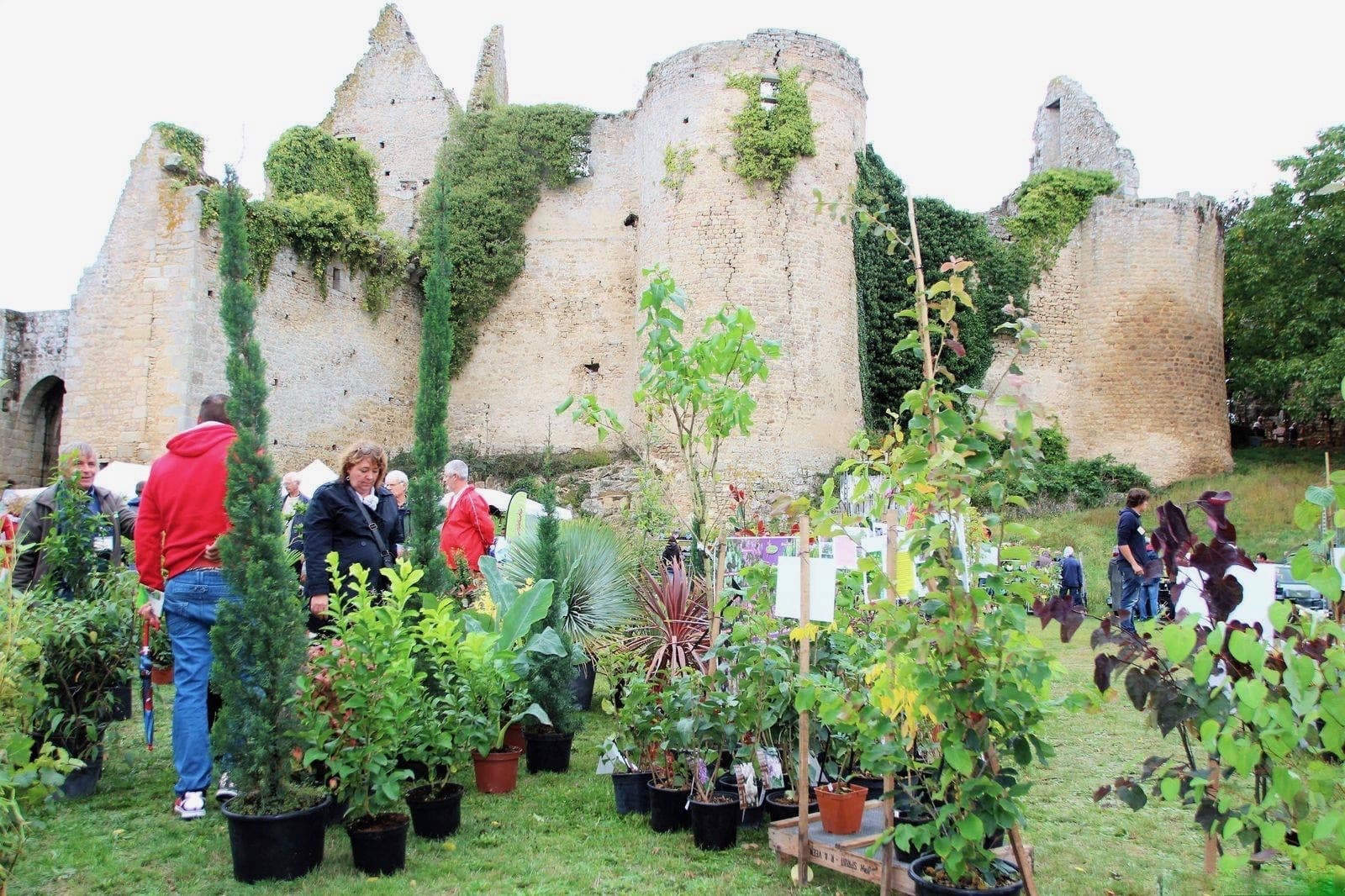 181007-bressuire-fete-plantes.jpg_2