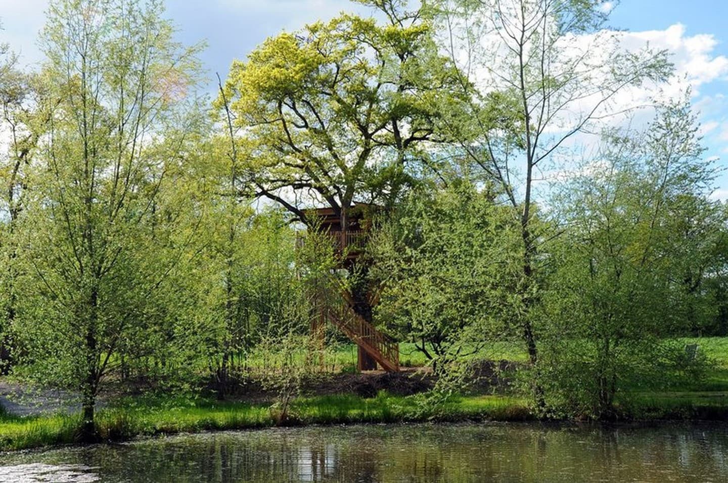 Cabane du vieux chêne