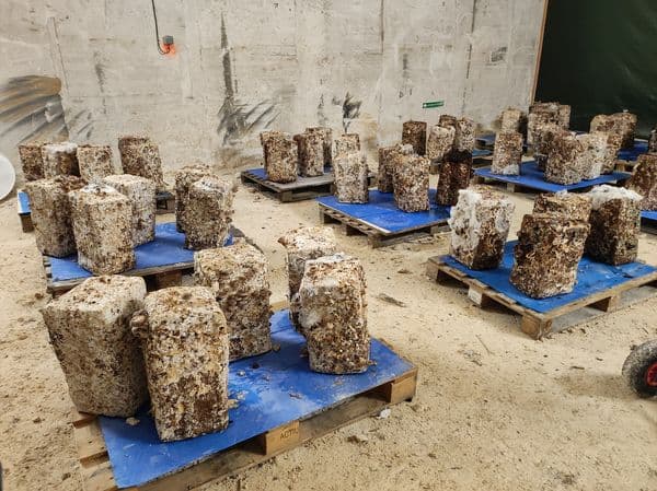 La Carrière aux Champignons