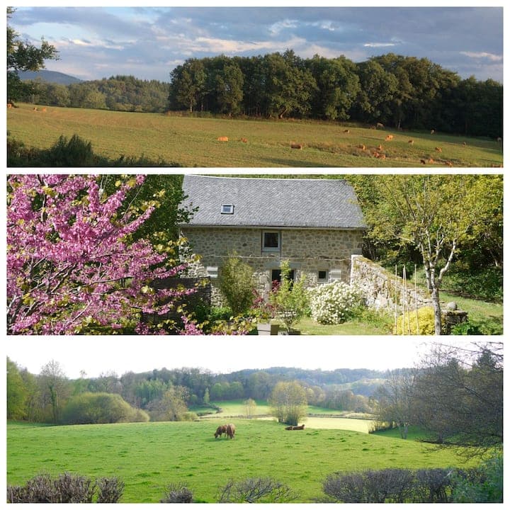 L'Ardoisette et son environnement