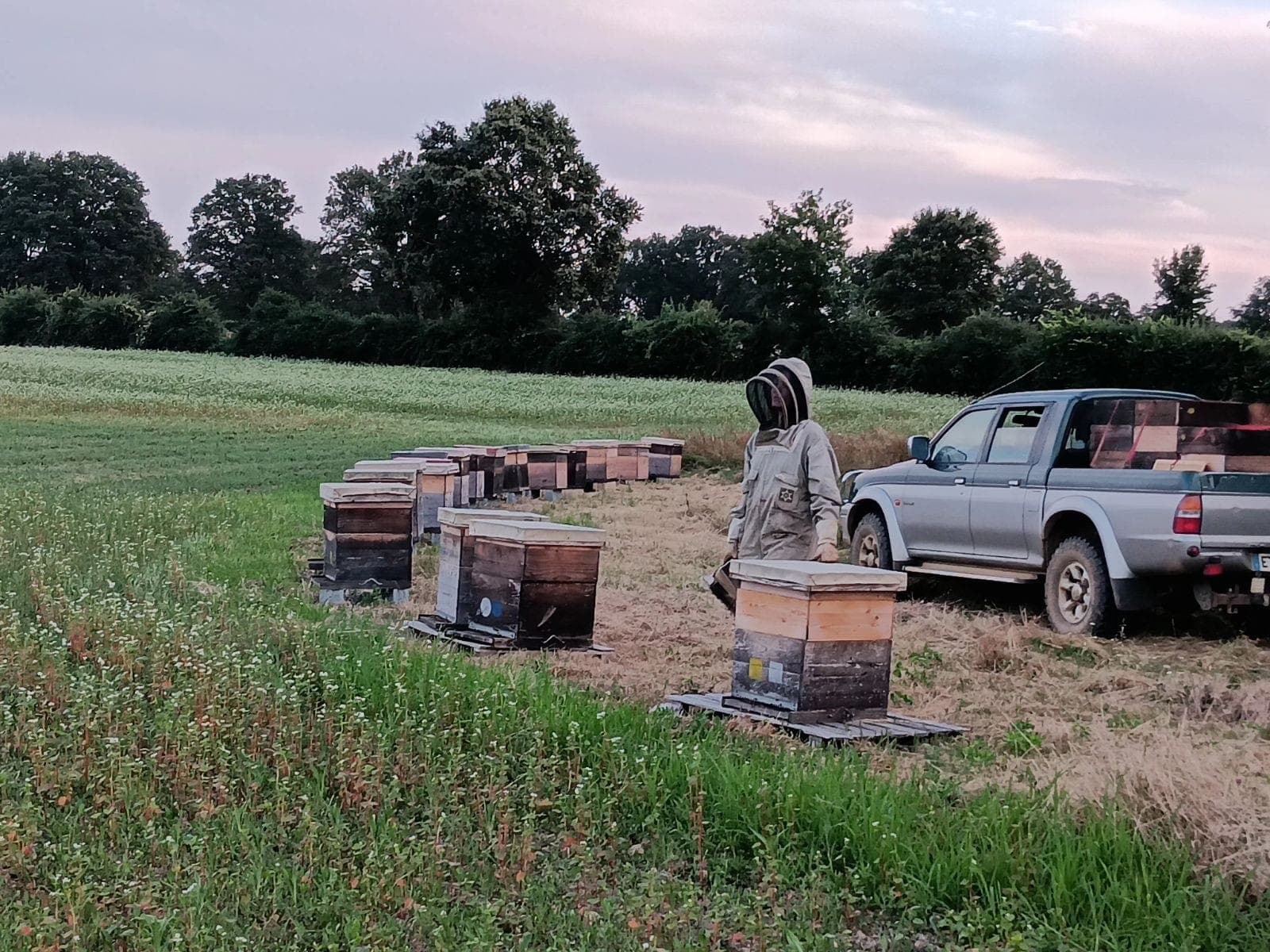 Entre Terre et Miel - Marnay - 01