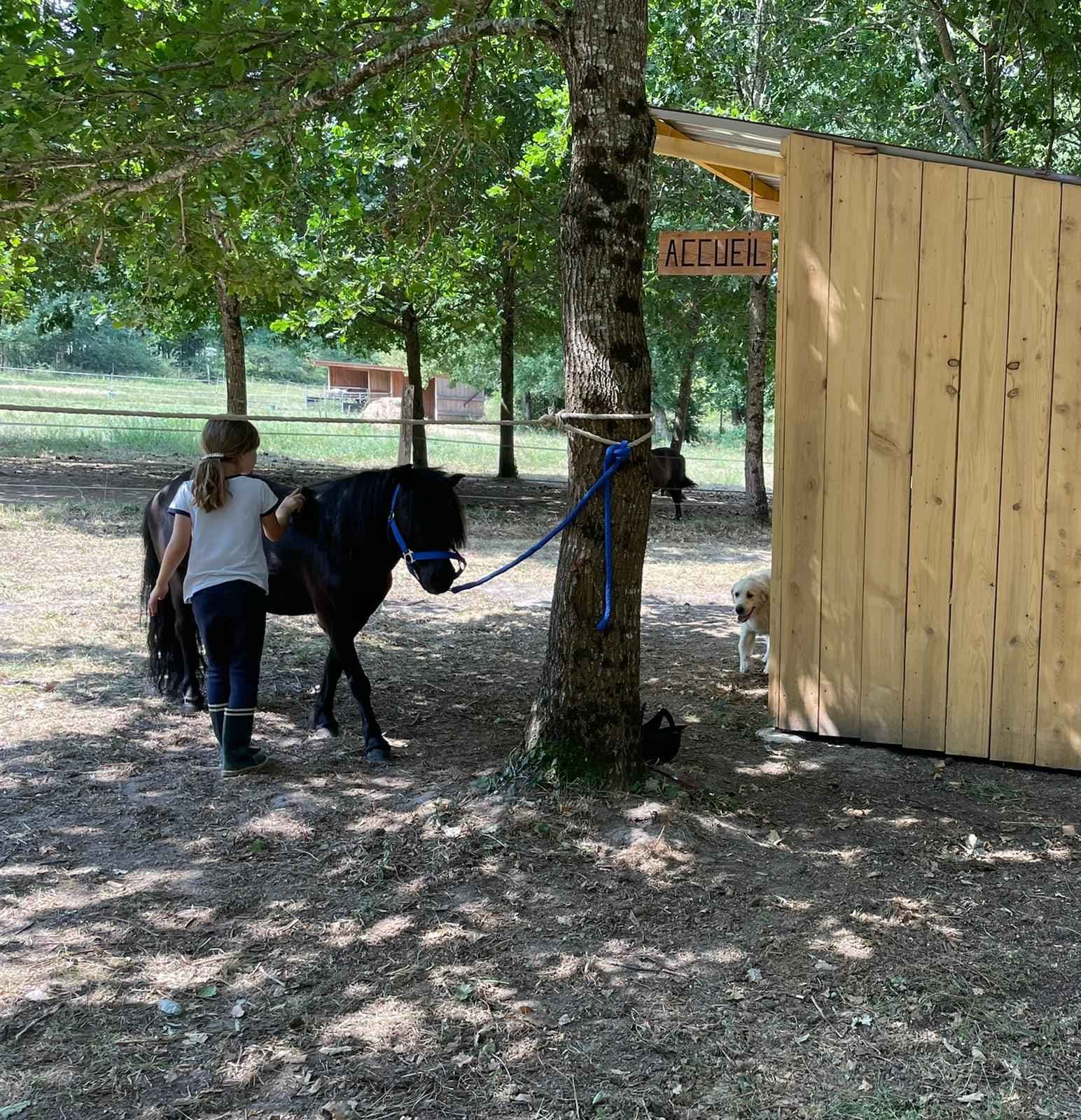 poney
