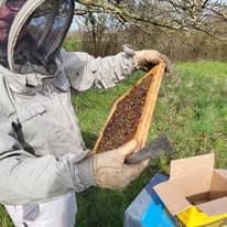 Miel forge abeilles boucoeur degustation St Varent Thouarsais
