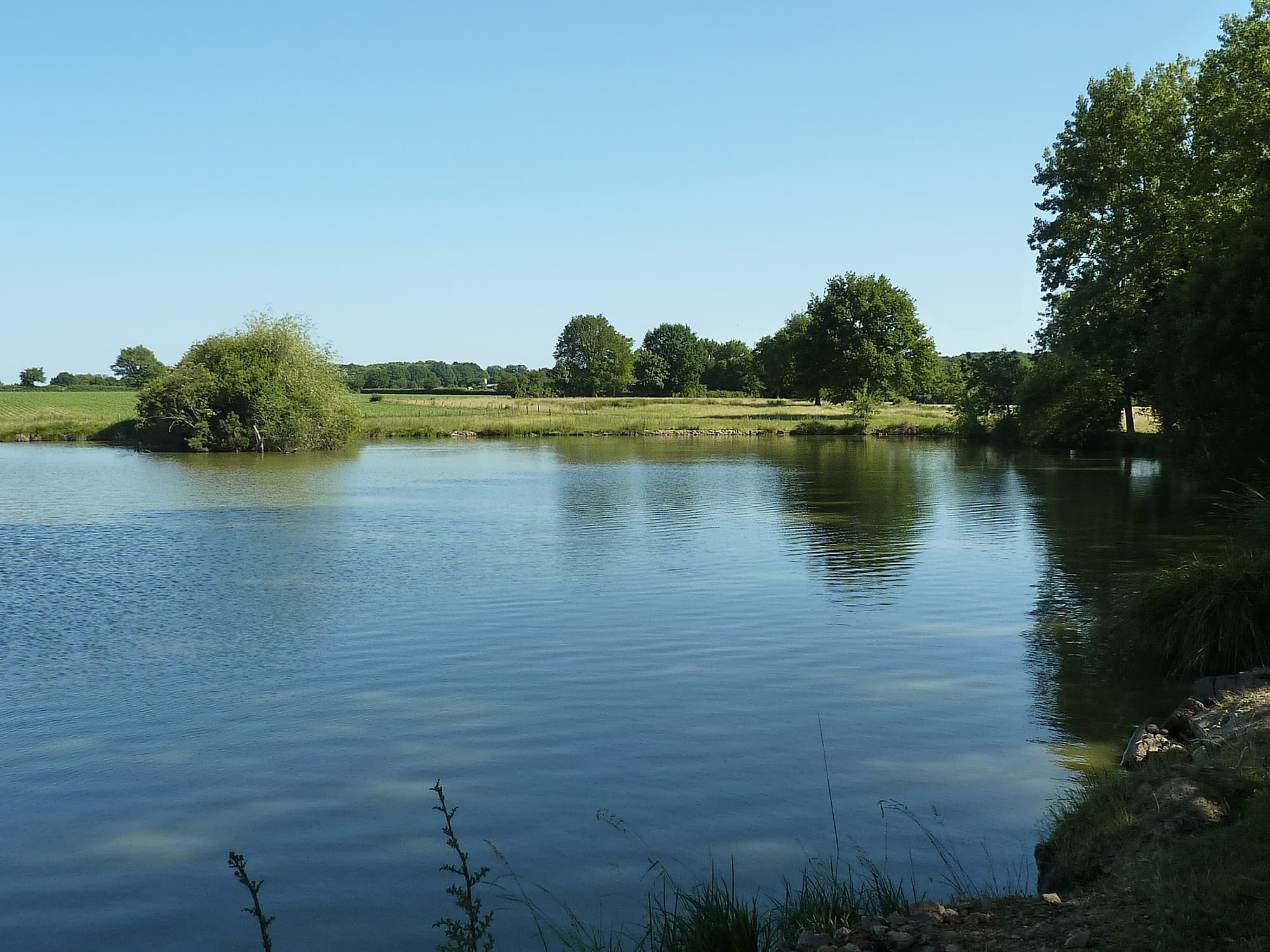 rorthais-gite-charmille-etang©BenedicteBesnard.jpg_10