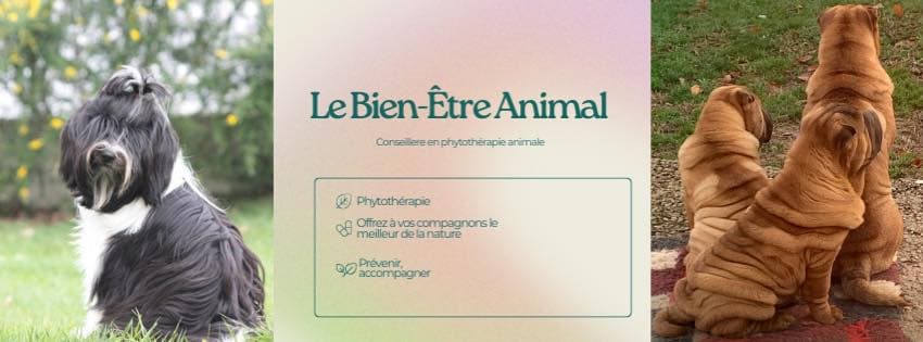 493966791_3960080584208483_62136953488107516_n