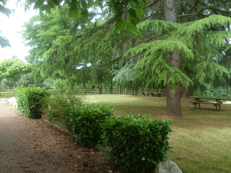 Jardin