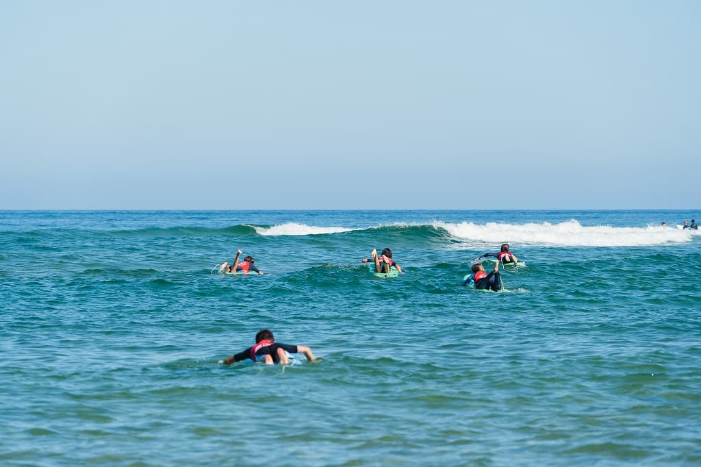 Surf univers-OTILAS