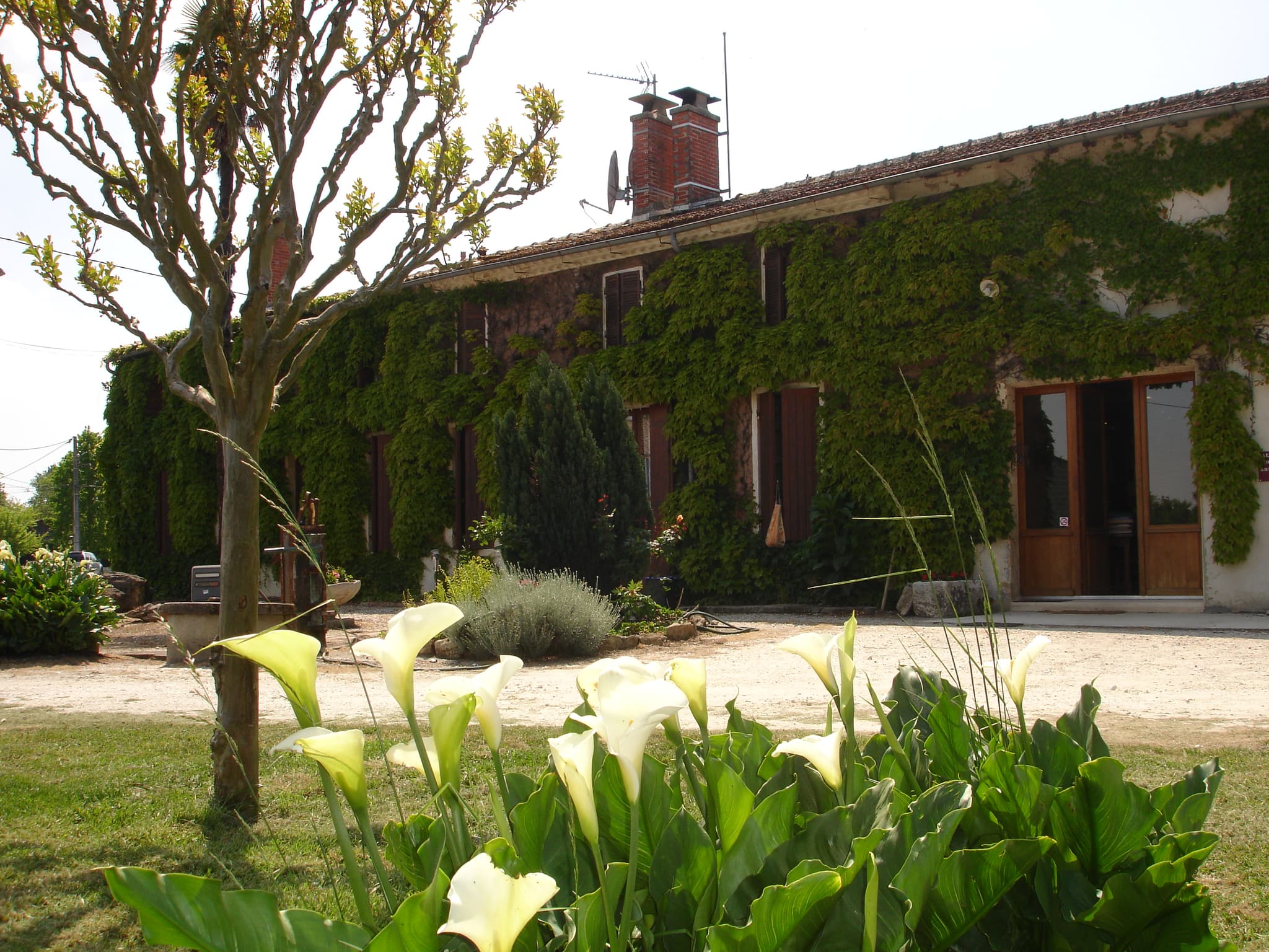 5 Chateau Gadet Terrefort