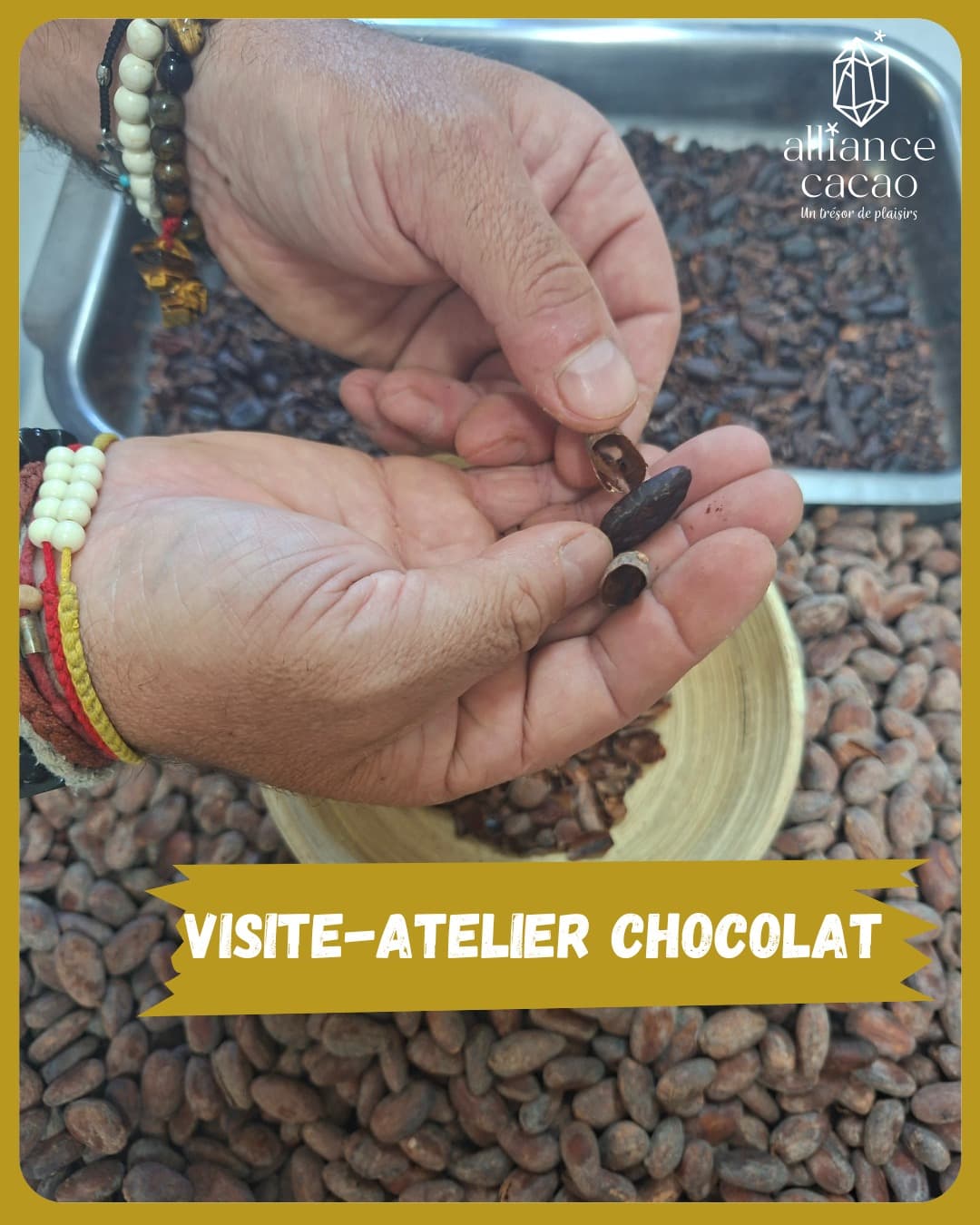 Alliance Cacao