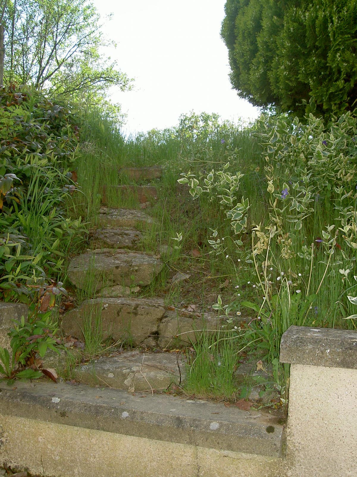 PICT2112.JPG_5