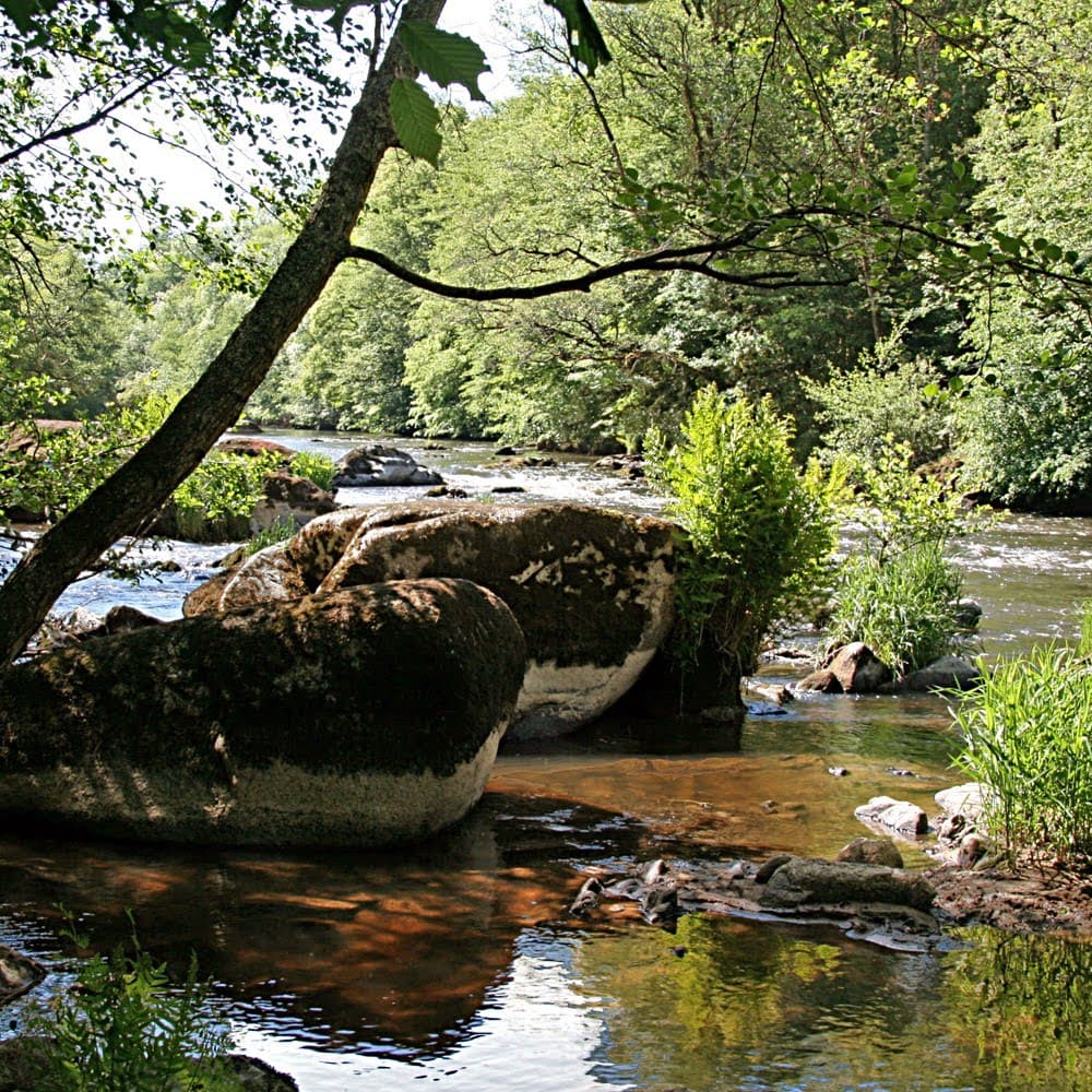 37195309.jpg_10