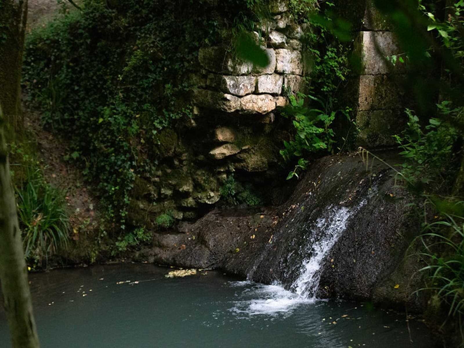 Domaine de Blasimon