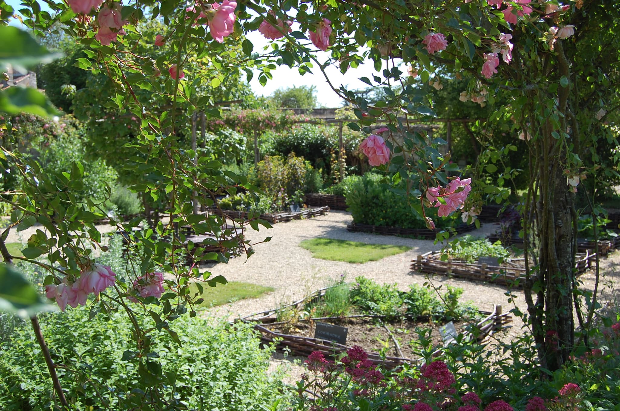 jardin
