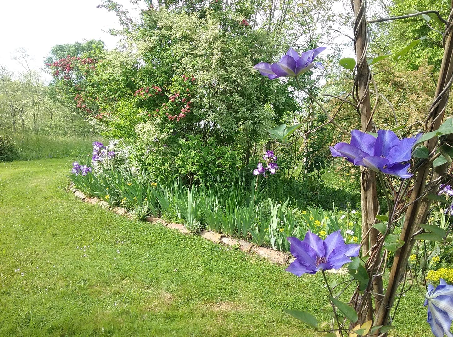 Jardin