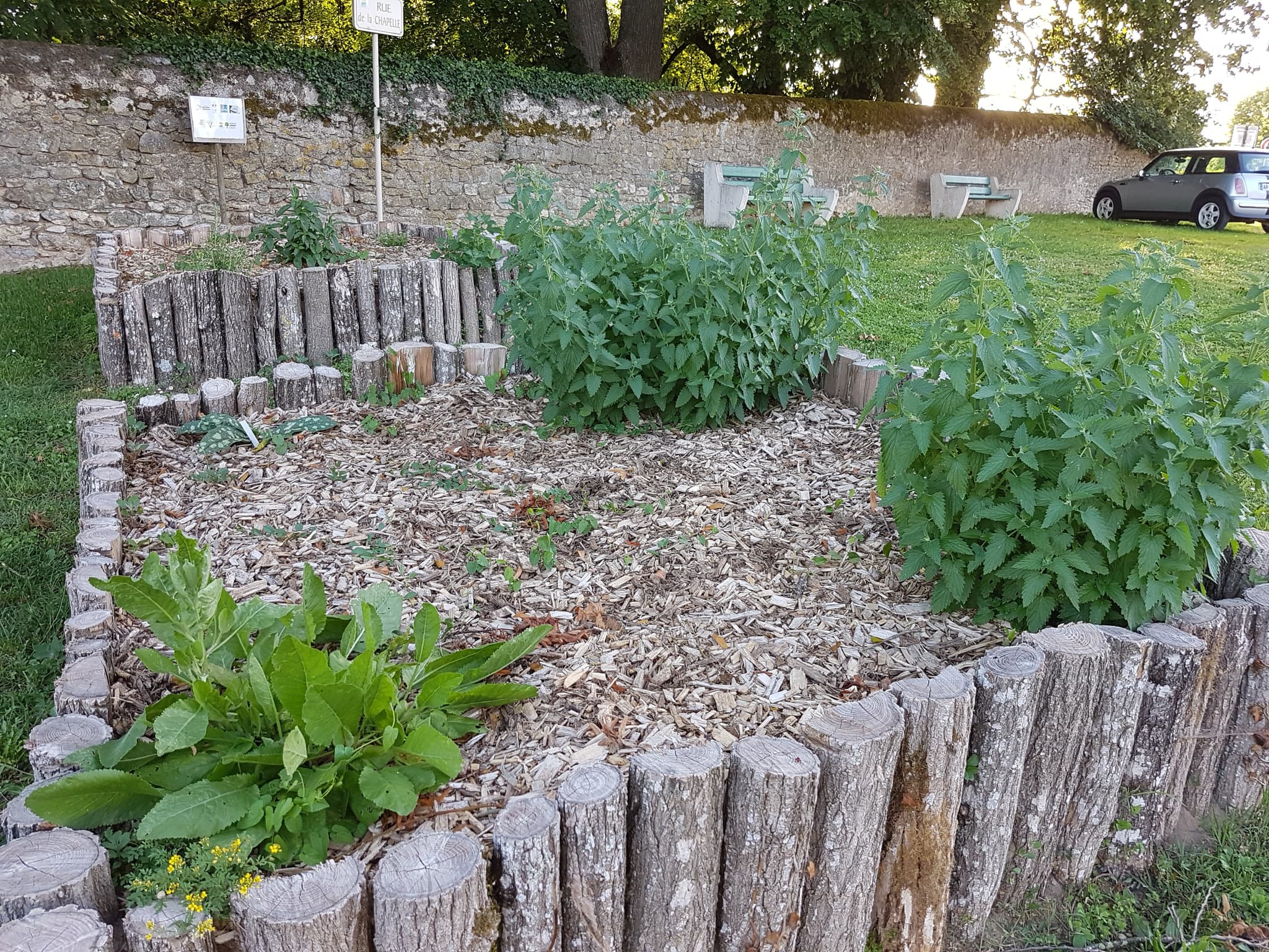 Les jardins botaniques de Jouhet