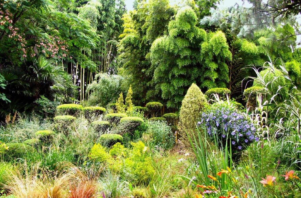 6--Jardin-de-PLANBUISSON
