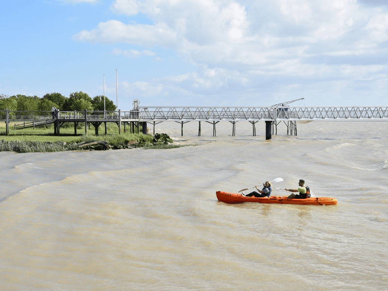 Kayak